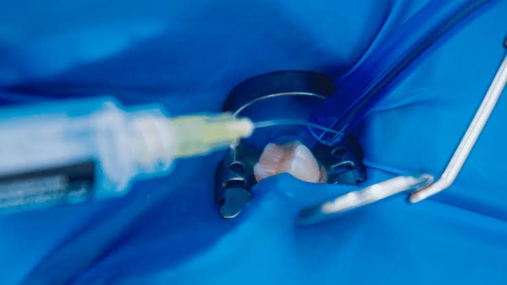 WhatsApp Image Feb 19 2025 (10)